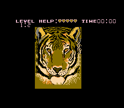 Puzzle - NES