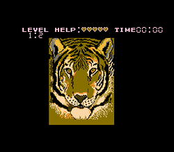Puzzle - NES