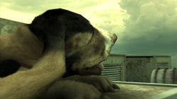 Linger in Shadows - PS3
