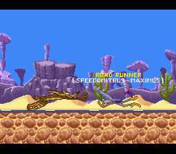 Road Runner's Death Valley Rally - SNES