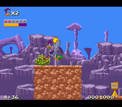 Road Runner's Death Valley Rally - SNES