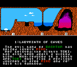 Toki - NES