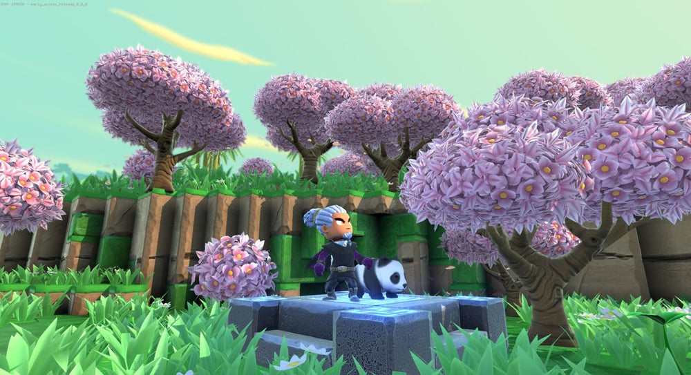 Portal Knights - Switch
