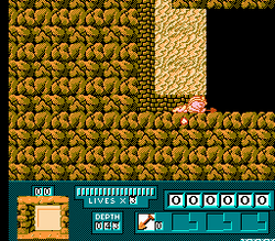 Digger T. Rock: Legend of the Lost City - NES