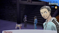 Shin Megami Tensei: Persona 3 FES - PS3