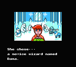 Fire 'n Ice - NES