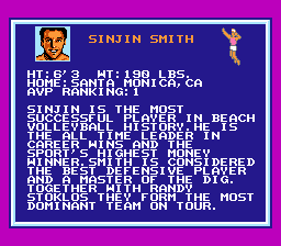 Kings of the Beach - NES