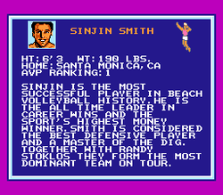 Kings of the Beach - NES