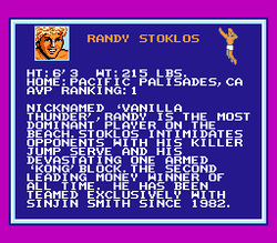 Kings of the Beach - NES