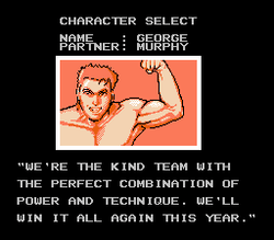 U.S. Championship V'Ball - NES