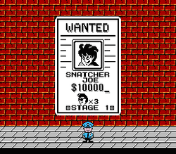 Street Cop - NES