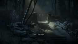 Until Dawn - PS4