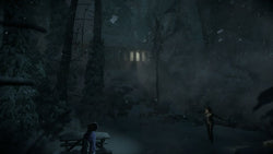 Until Dawn - PS4