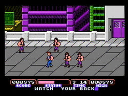 Target: Renegade - NES