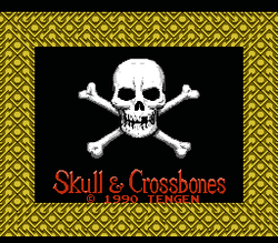 Skull & Crossbones - NES