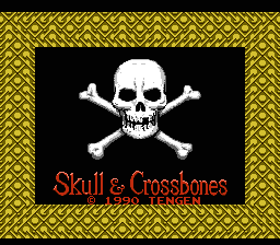 Skull & Crossbones - NES