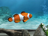 My Aquarium - PS3