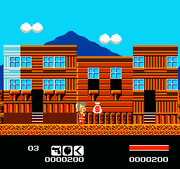Puss N Boots: Pero's Great Adventure - NES