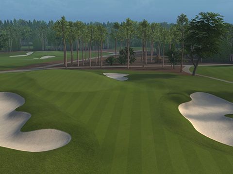 Tiger Woods PGA Tour 14 - PS3