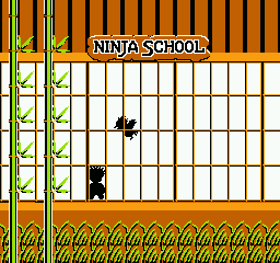 Kid Niki: Radical Ninja - NES