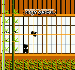 Kid Niki: Radical Ninja - NES