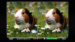 Spot the Differences! - PS3
