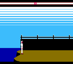 Karateka - NES