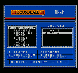 Roundball: 2-On-2 Challenge - NES