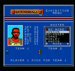 Roundball: 2-On-2 Challenge - NES