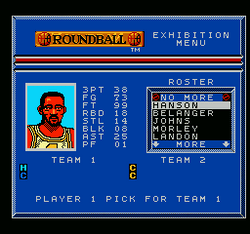 Roundball: 2-On-2 Challenge - NES