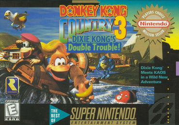 Donkey Kong Country 3: Dixie Kong's Double Trouble! - SNES