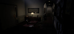 Paranormal Activity: The Lost Soul - PS4