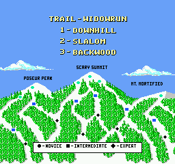 Heavy Shreddin' - NES
