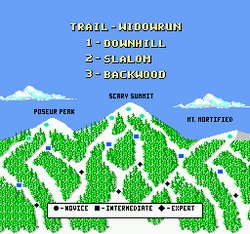 Heavy Shreddin' - NES