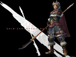 Dynasty Warriors 4 - PS3