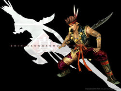 Dynasty Warriors 4 - PS3
