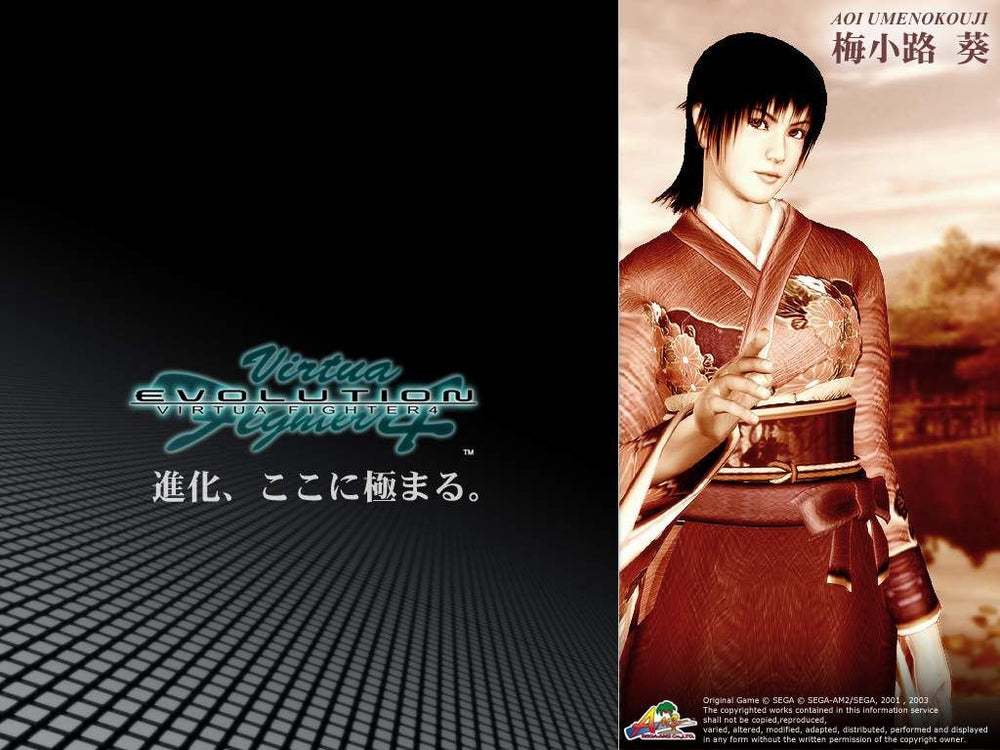 Virtua Fighter 4: Evolution - PS3