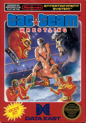 Tag Team Wrestling - NES