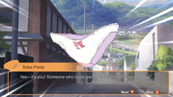 Panty Party - Switch