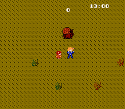 Labyrinth - NES