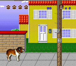 Beethoven's 2nd - SNES