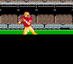 Tecmo Super Bowl - NES