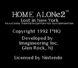 Home Alone 2: Lost in New York - NES