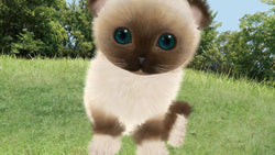 Aabs Animals - PS3