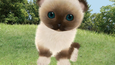 Aabs Animals - PS3