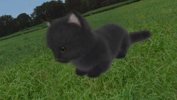 Aabs Animals - PS3
