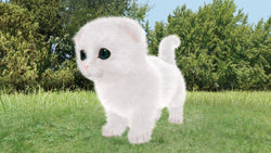 Aabs Animals - PS3
