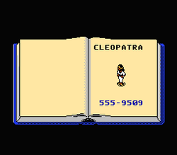 Bill & Ted's Excellent Video Game Adventure - NES