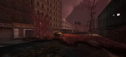 Organ Quarter - PS5