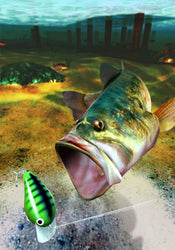 SEGA Bass Fishing - PS3